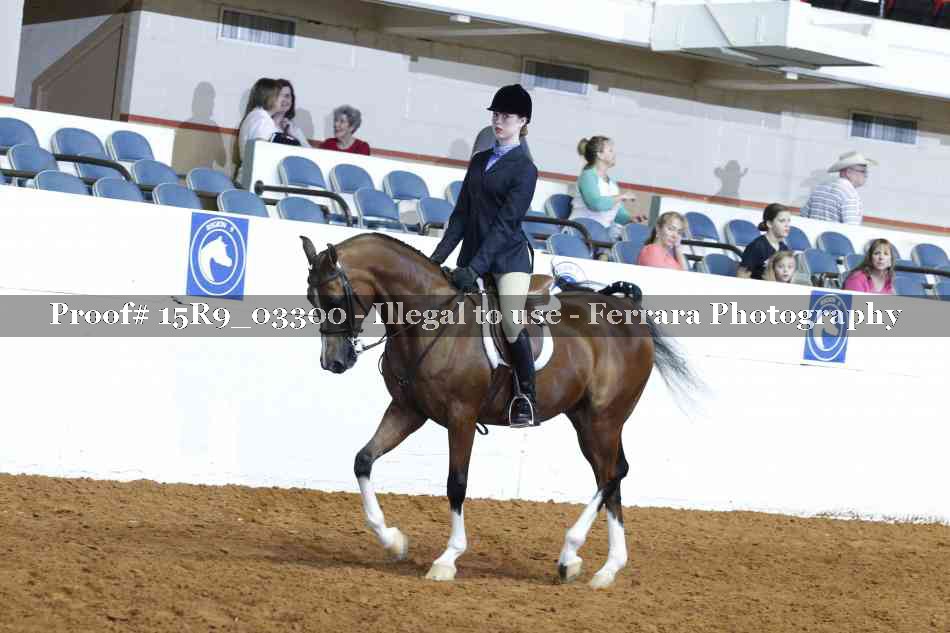 Proof 15R9_03300