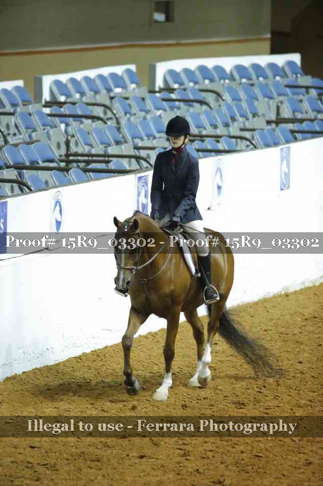 Proof 15R9_03302