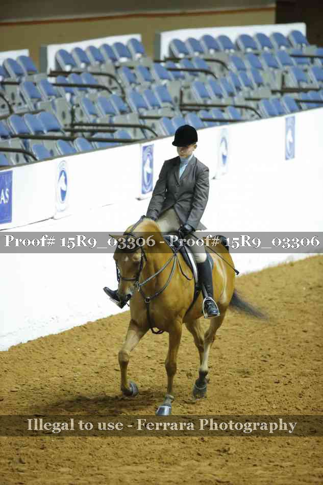 Proof 15R9_03306