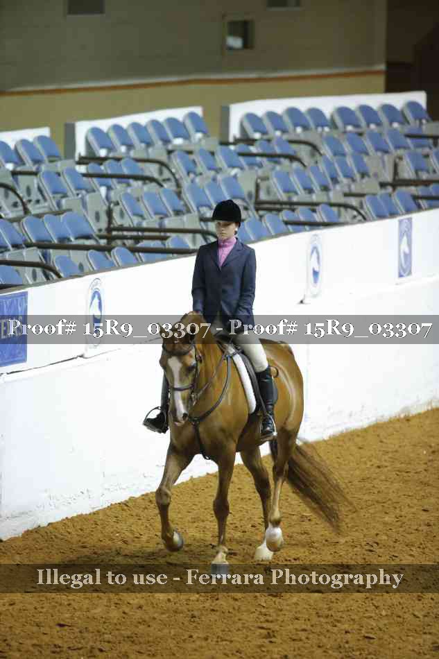 Proof 15R9_03307