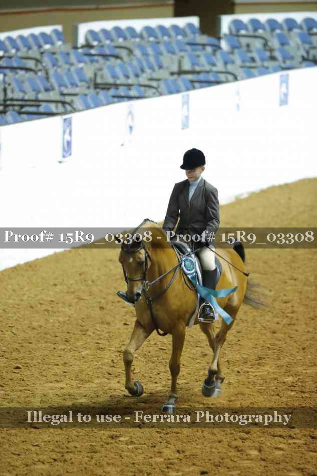 Proof 15R9_03308