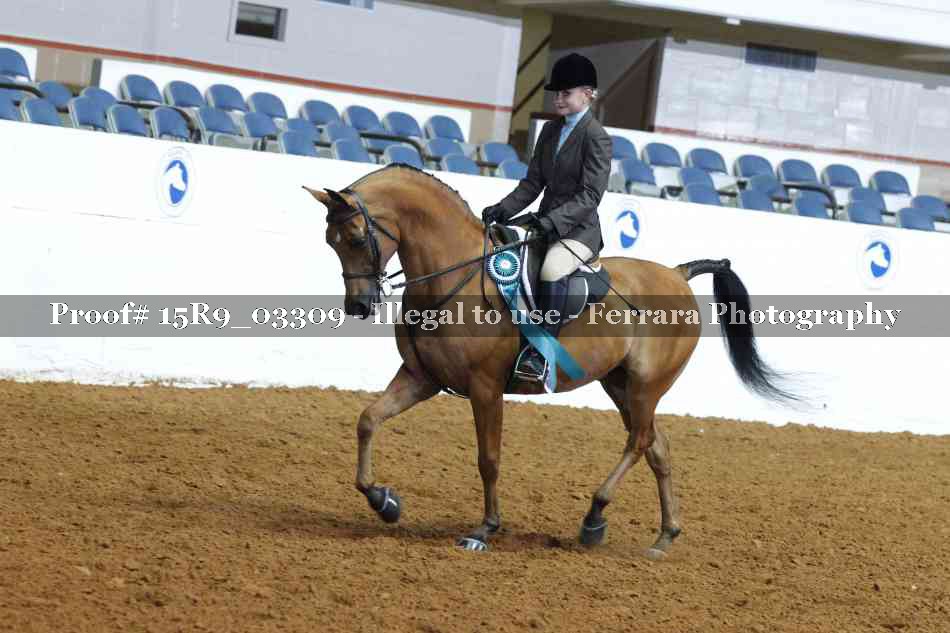 Proof 15R9_03309
