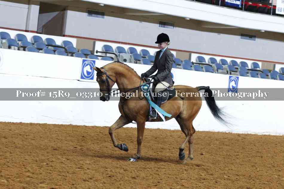 Proof 15R9_03310