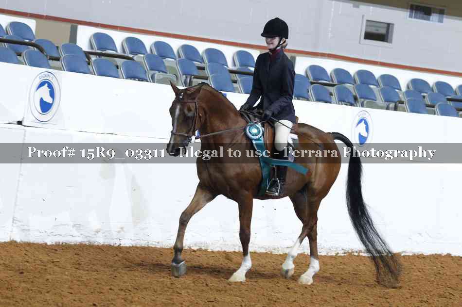 Proof 15R9_03311