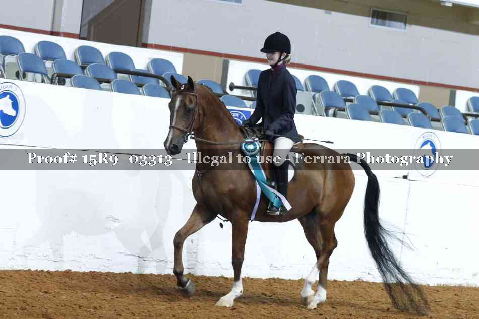 Proof 15R9_03313