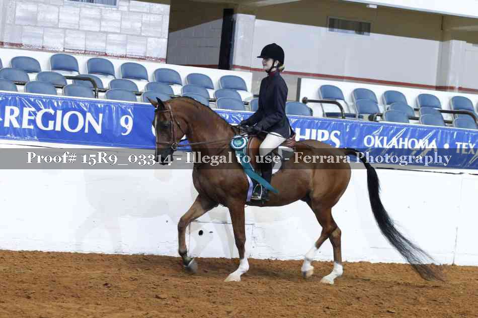 Proof 15R9_03314