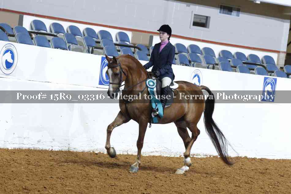 Proof 15R9_03316
