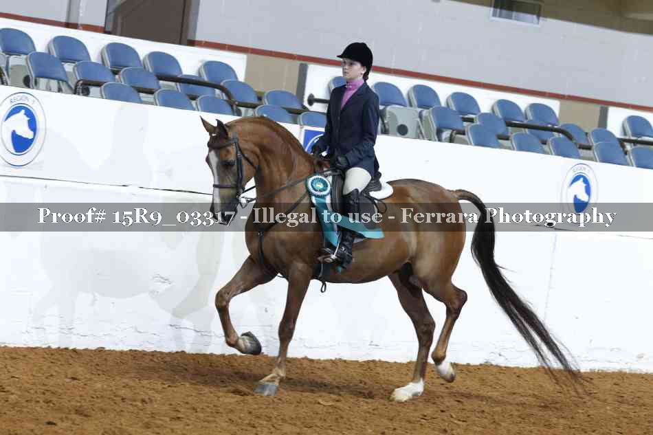 Proof 15R9_03317