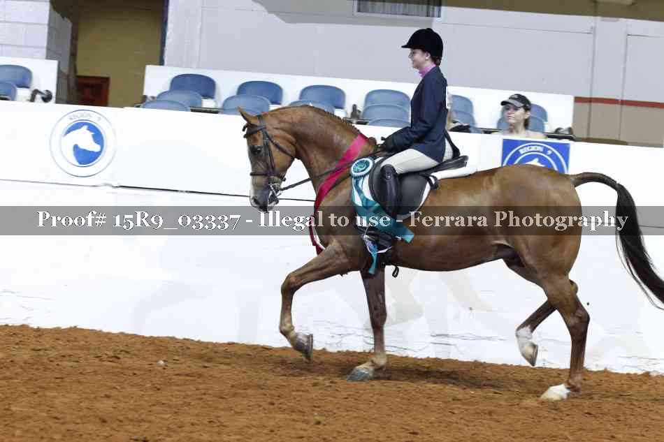 Proof 15R9_03337