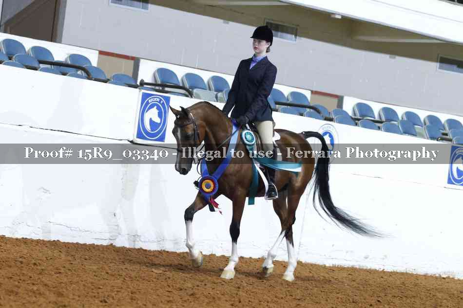 Proof 15R9_03340