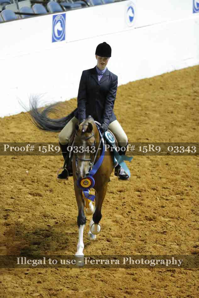 Proof 15R9_03343