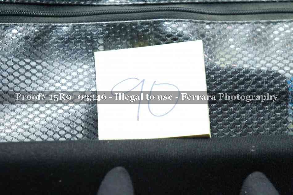 Proof 15R9_03346
