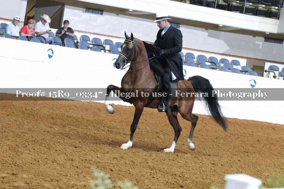 Proof 15R9_03347