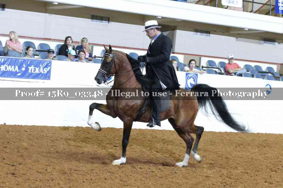 Proof 15R9_03348