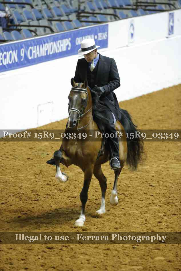 Proof 15R9_03349
