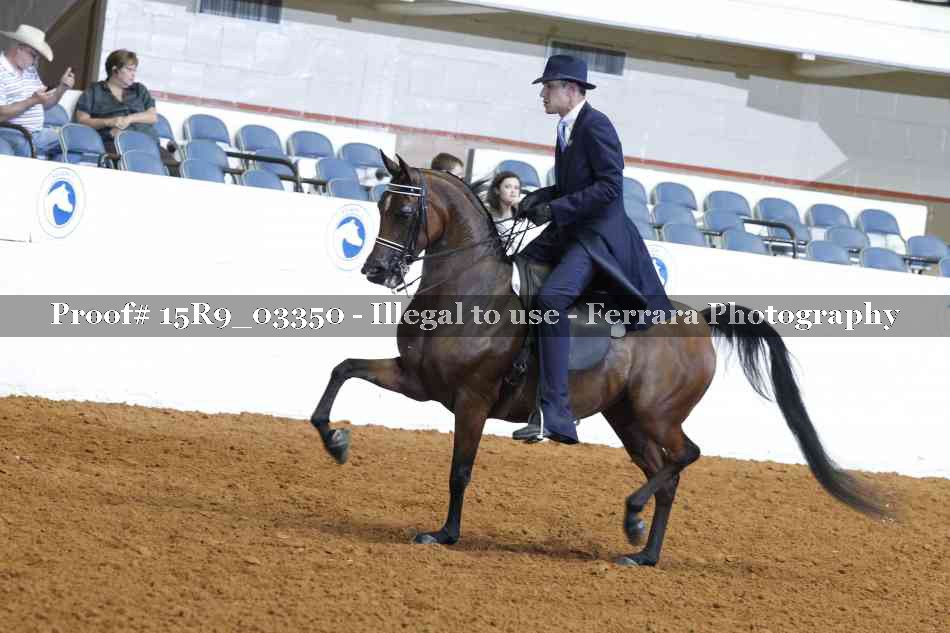 Proof 15R9_03350