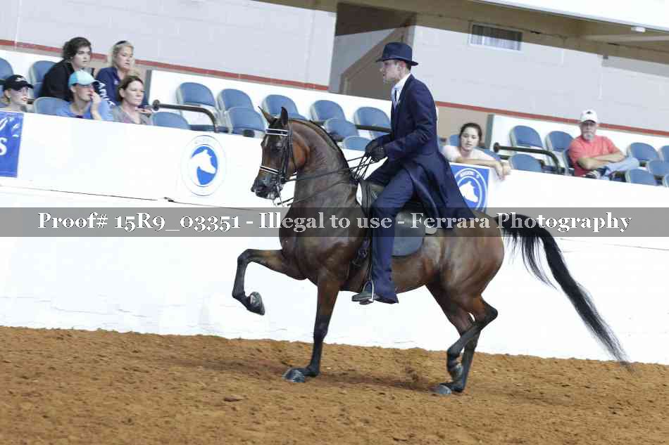 Proof 15R9_03351