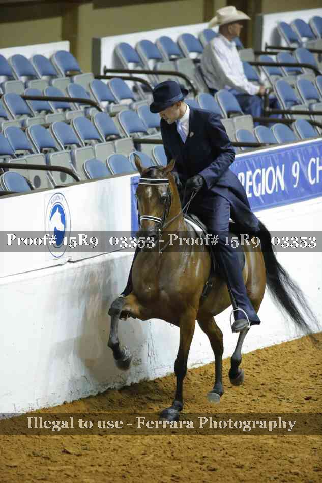 Proof 15R9_03353