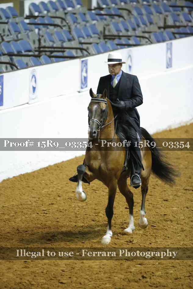 Proof 15R9_03354