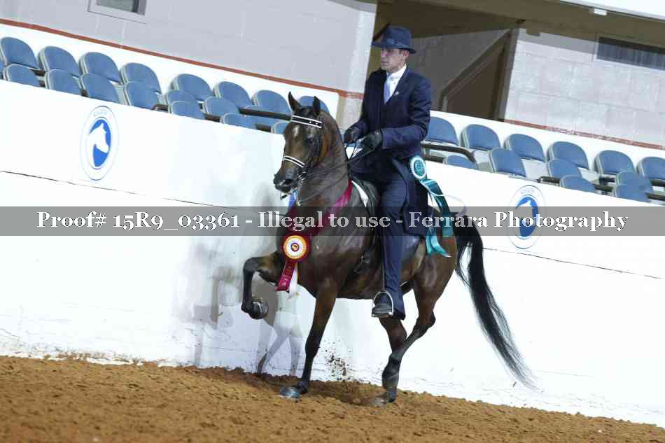 Proof 15R9_03361
