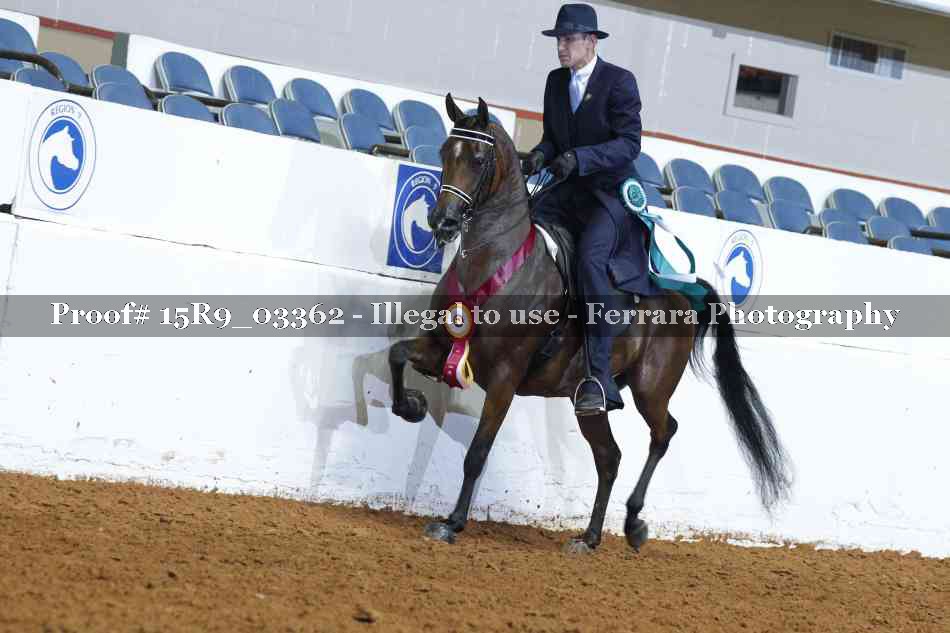 Proof 15R9_03362