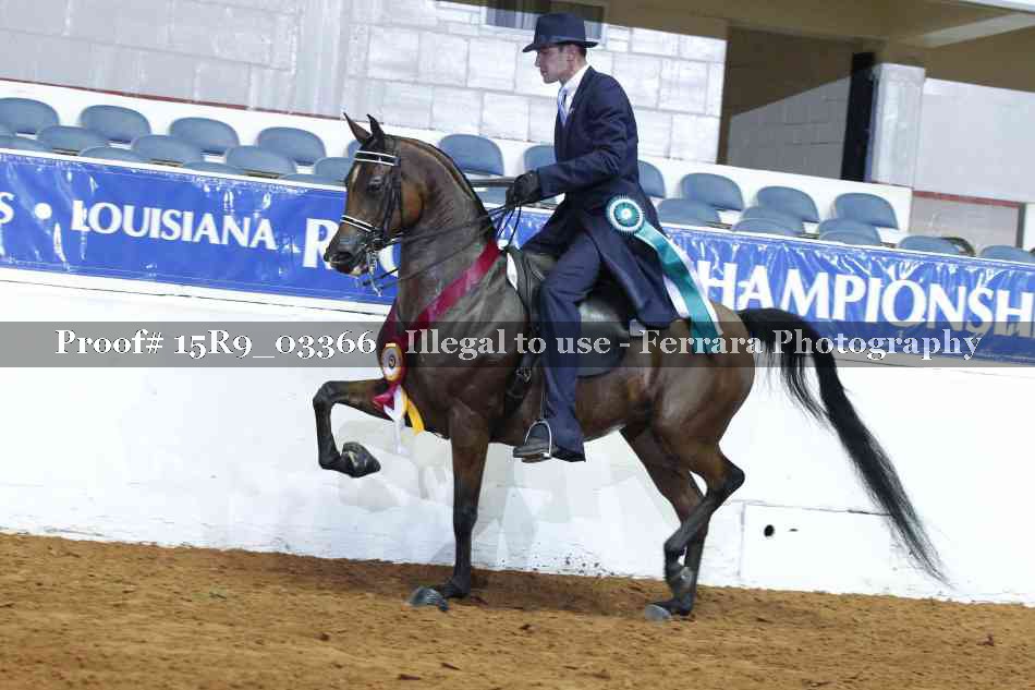 Proof 15R9_03366