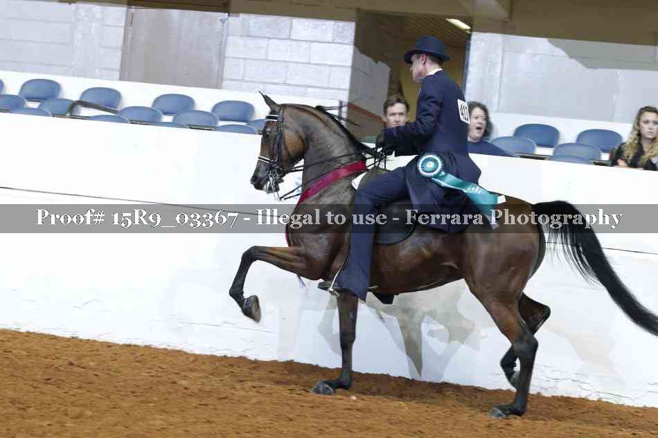 Proof 15R9_03367