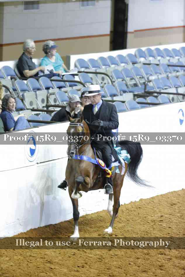 Proof 15R9_03370