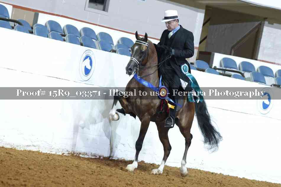 Proof 15R9_03371
