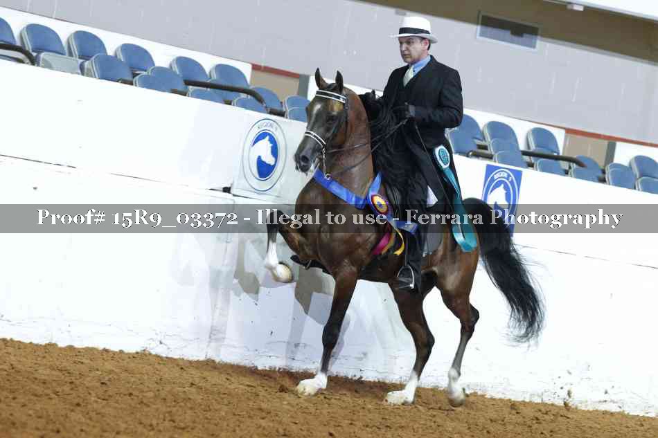 Proof 15R9_03372