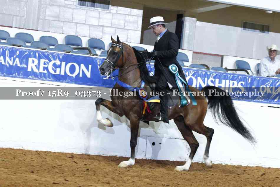 Proof 15R9_03373