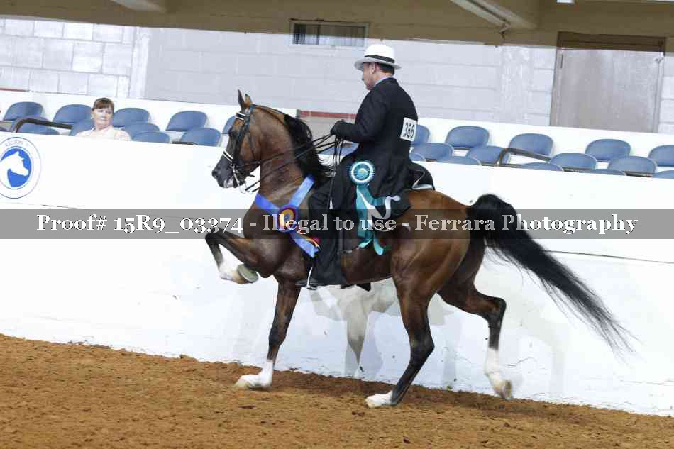 Proof 15R9_03374