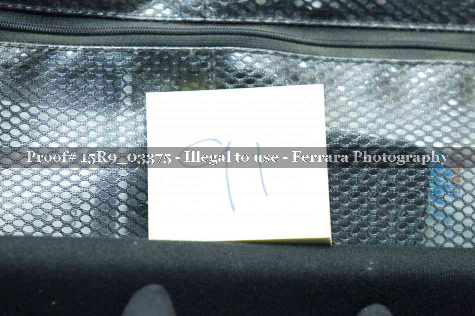 Proof 15R9_03375