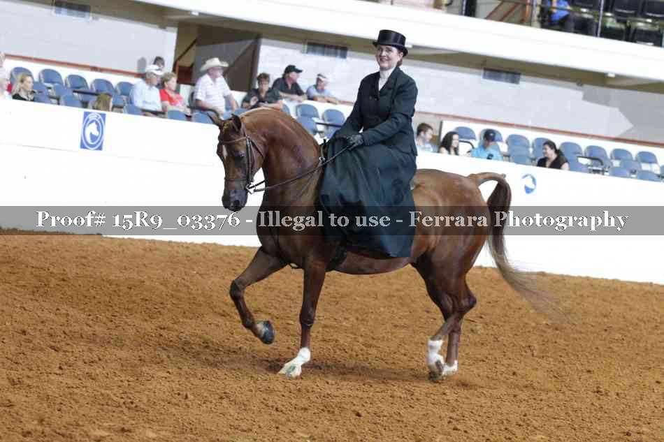 Proof 15R9_03376