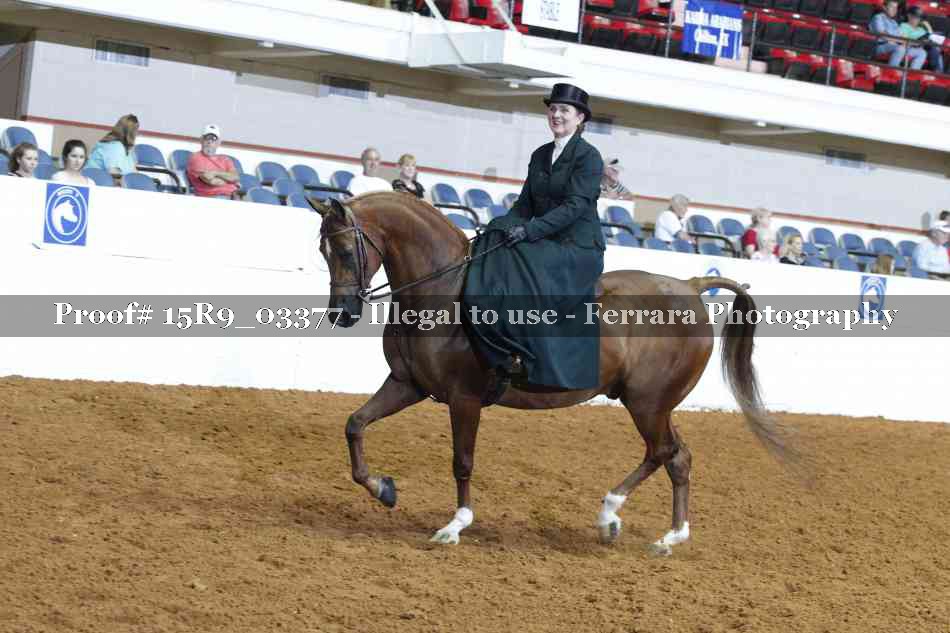 Proof 15R9_03377