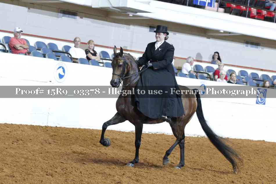 Proof 15R9_03378