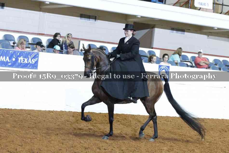 Proof 15R9_03379