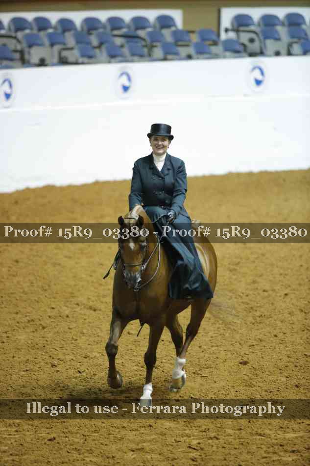 Proof 15R9_03380