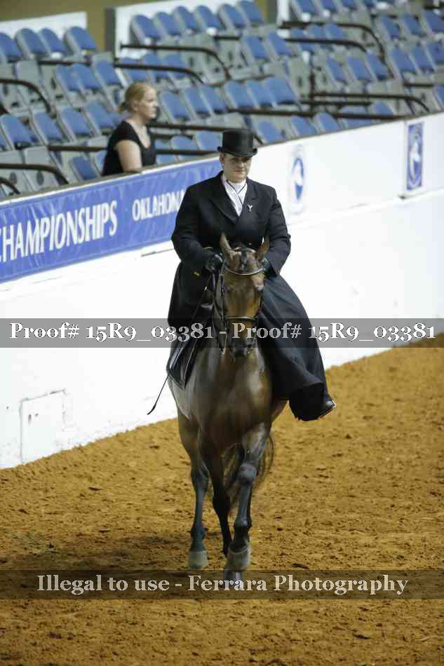 Proof 15R9_03381