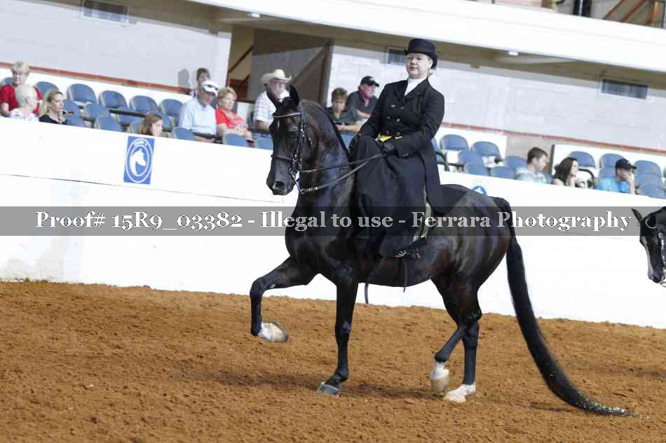Proof 15R9_03382