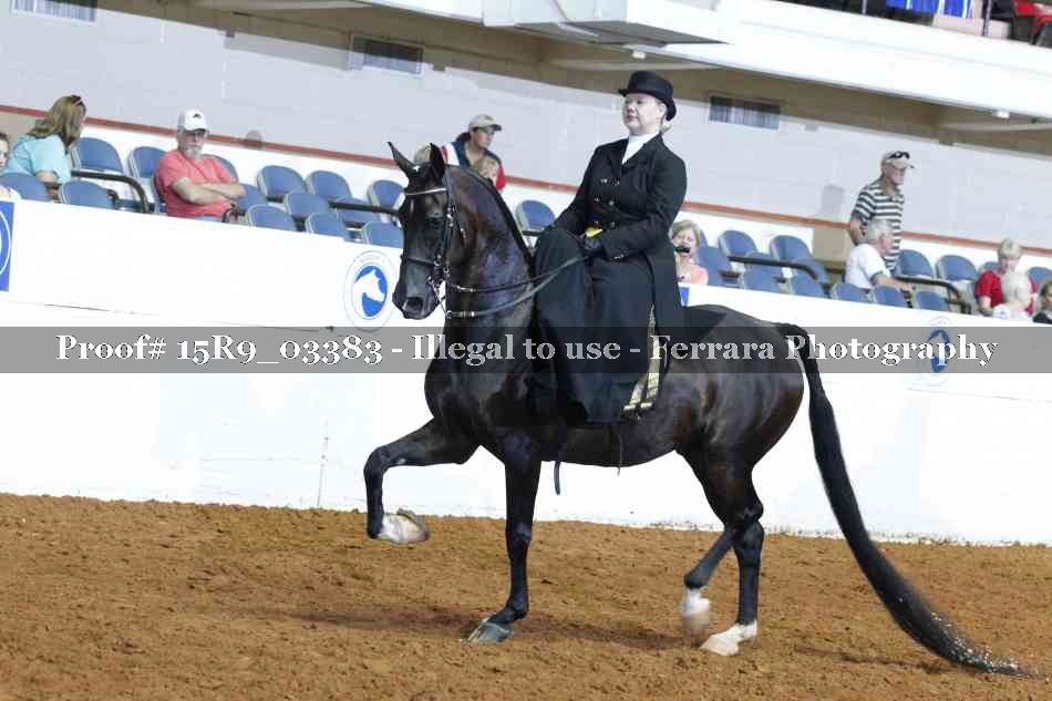 Proof 15R9_03383