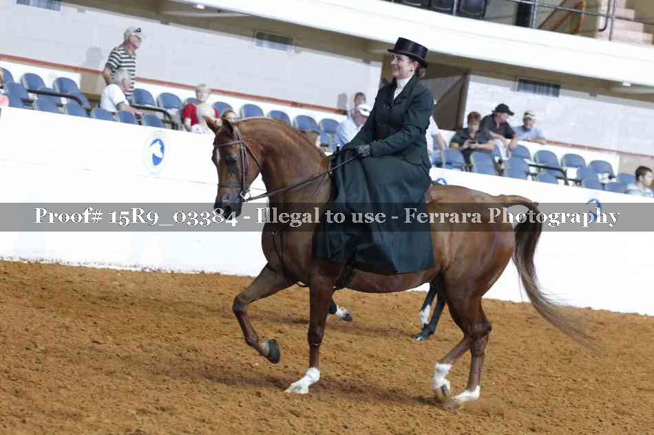 Proof 15R9_03384