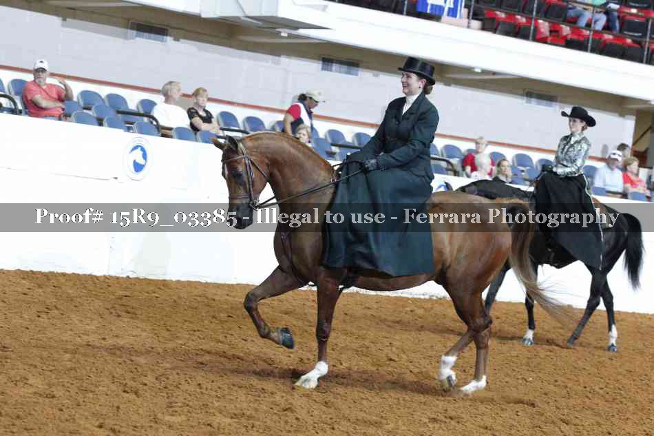 Proof 15R9_03385