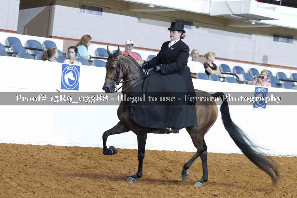 Proof 15R9_03388