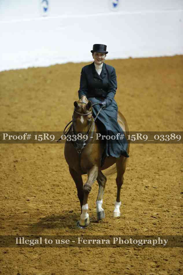 Proof 15R9_03389