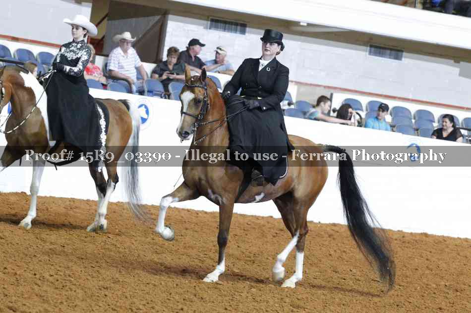 Proof 15R9_03390