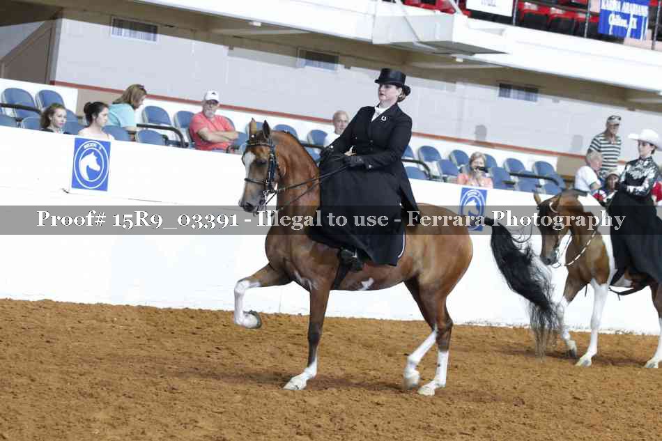 Proof 15R9_03391
