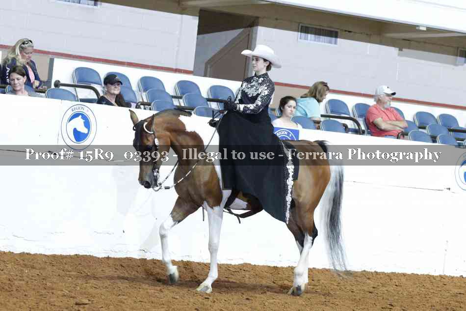 Proof 15R9_03393