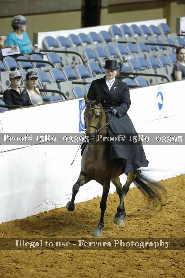 Proof 15R9_03395