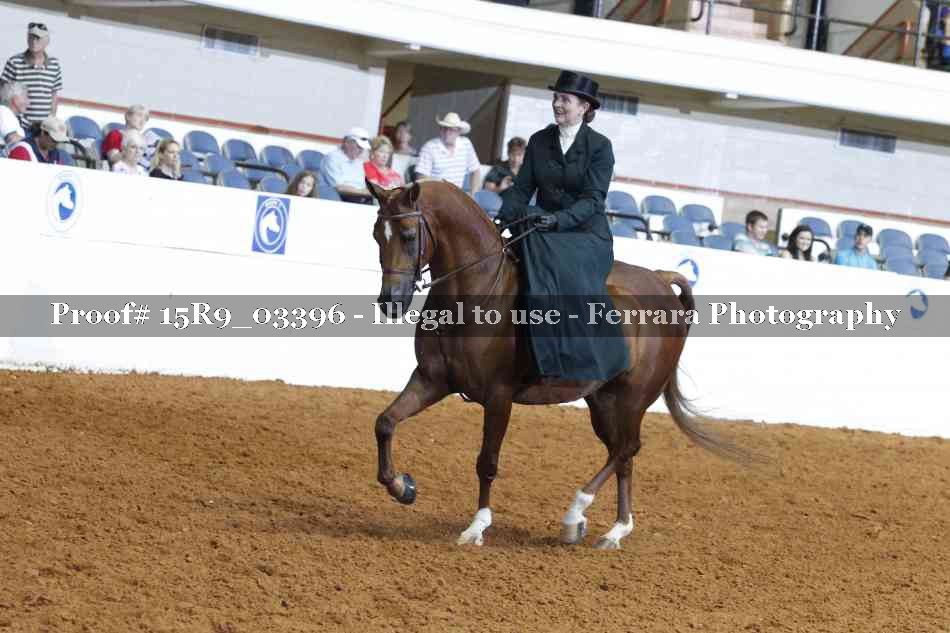 Proof 15R9_03396